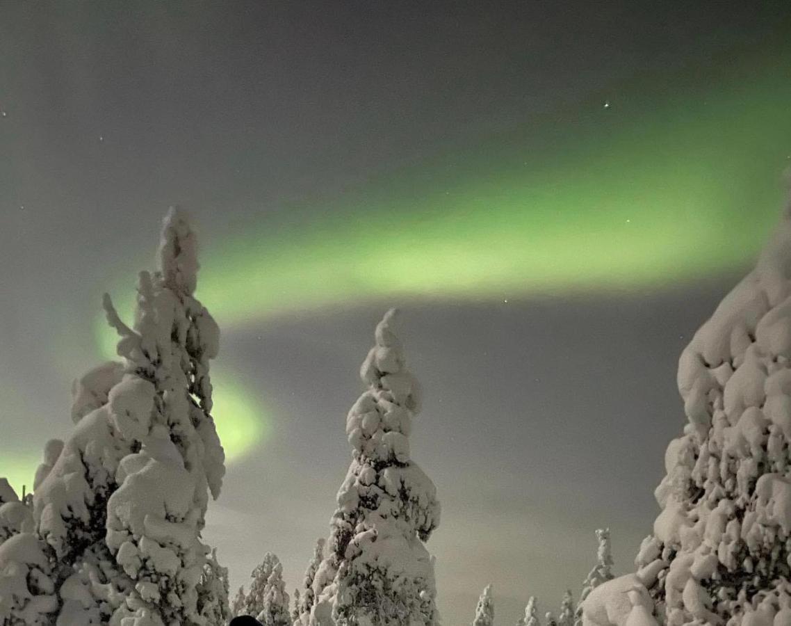 Sofia Rovaniemi City Apartment Екстериор снимка