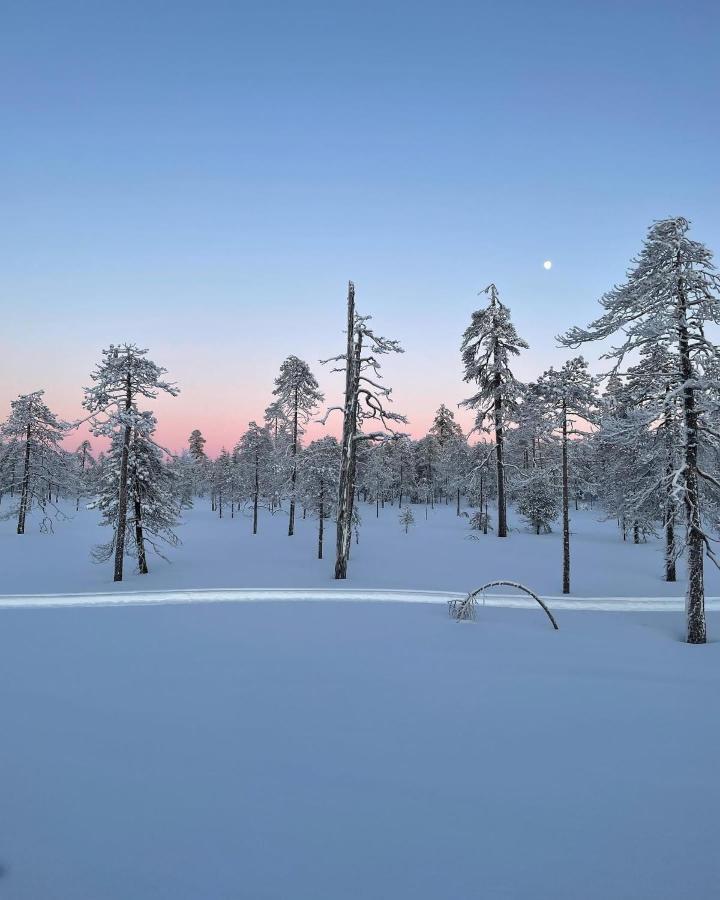 Sofia Rovaniemi City Apartment Екстериор снимка